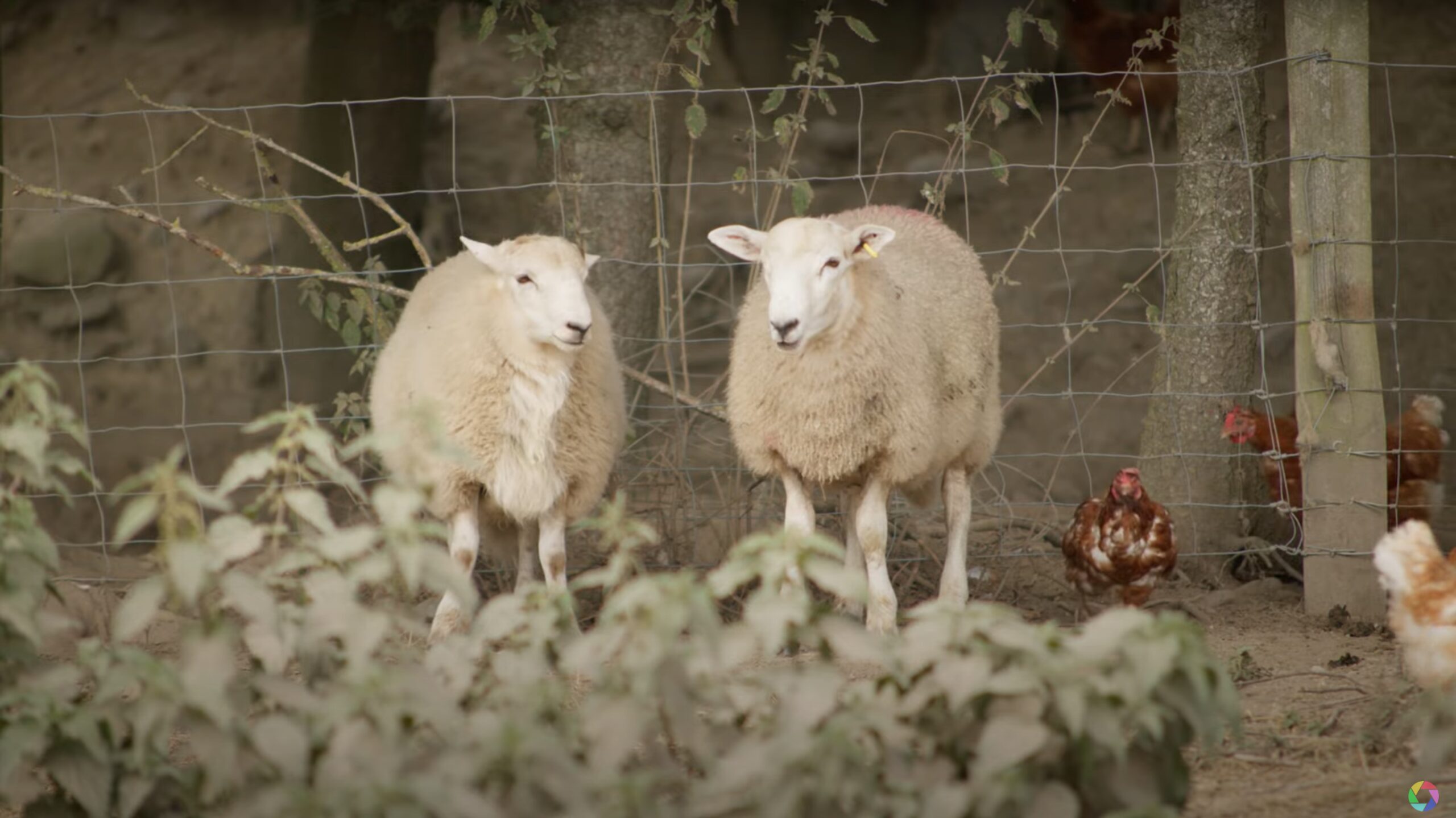 B-roll footage for a corporate video by Rhodon Film a corporate video production company in manchester